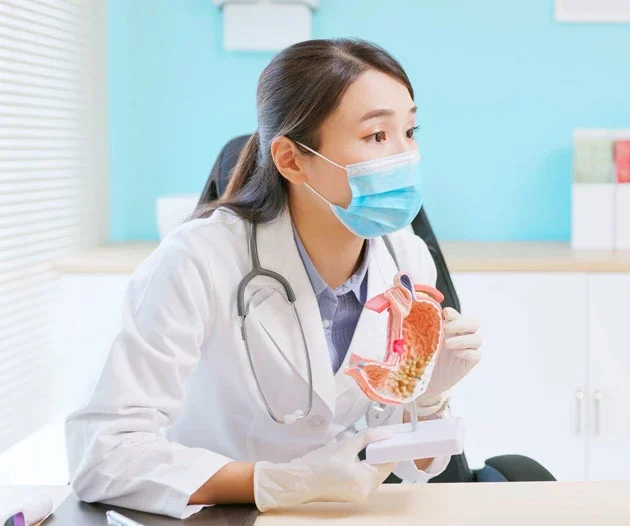 doctor wearing face mask is showing stomach model