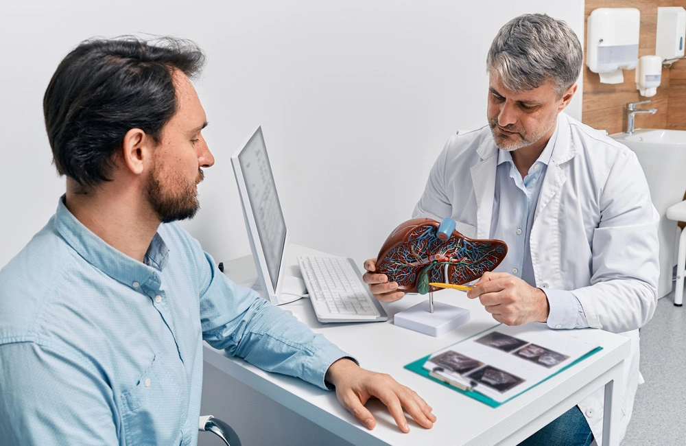 Gastroenterologist doctor explaining liver and gallbladder problems using anatomical model to patient during clinic visit.