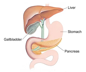 Pancreatic Cancer