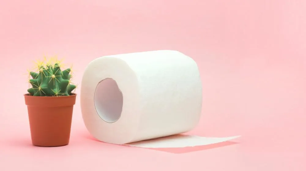 Plant and Tissue in Pink Background