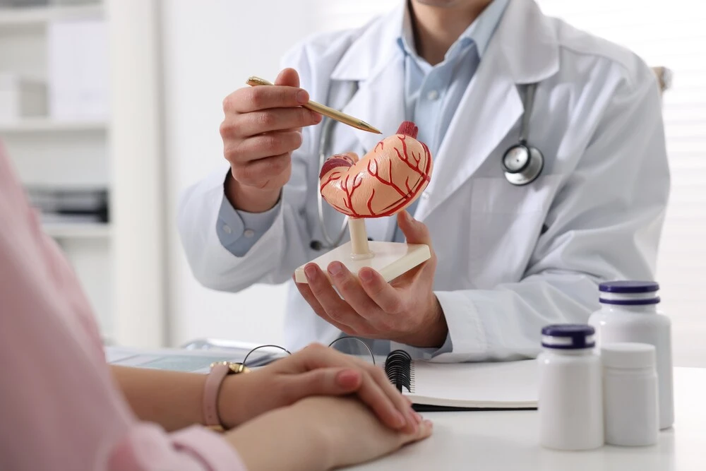 Gastroenterologist with human stomach model consulting patient at table in clinic