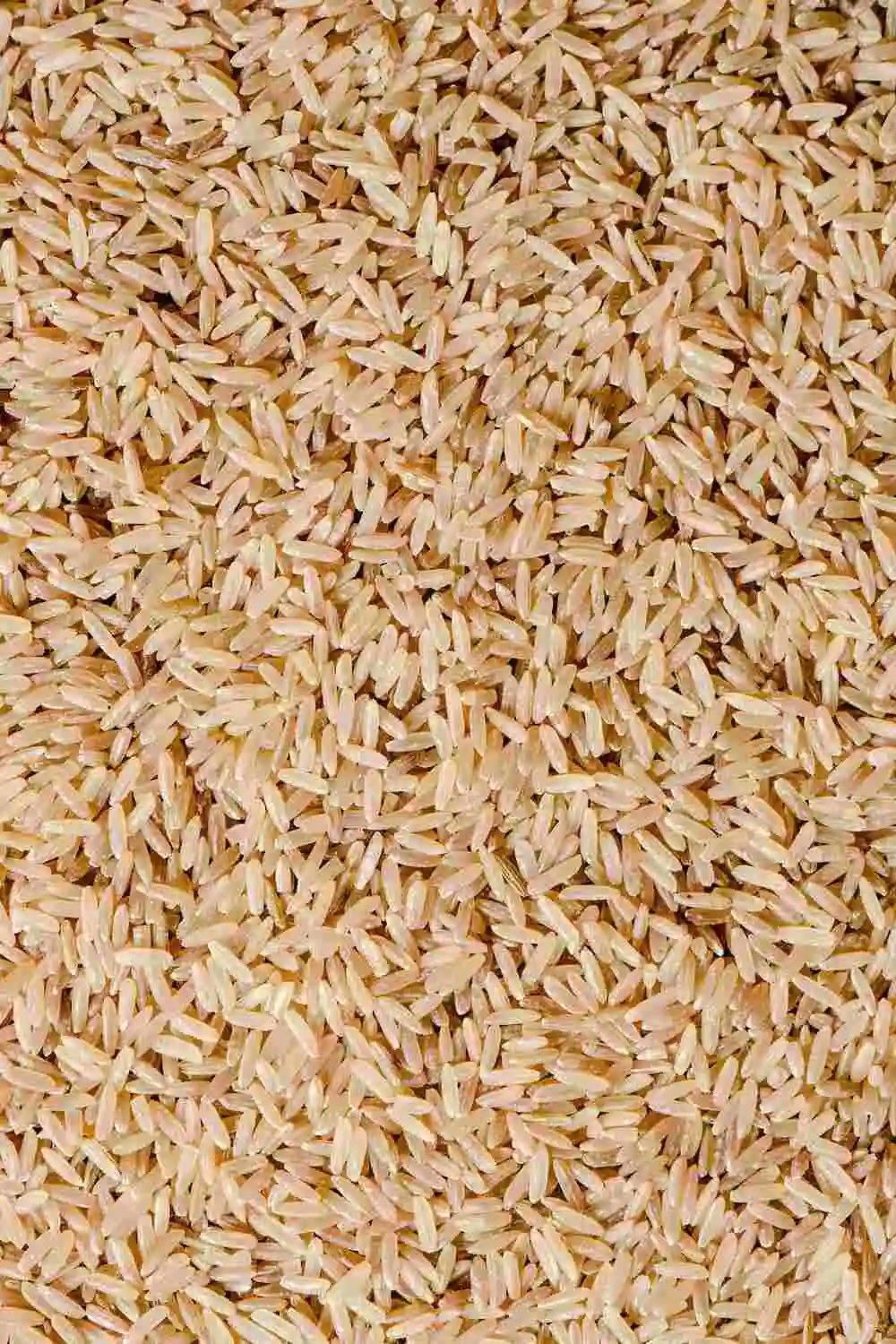 High Brown Rice Intake Lowers Diabetes Risk - Digestive Disease ...