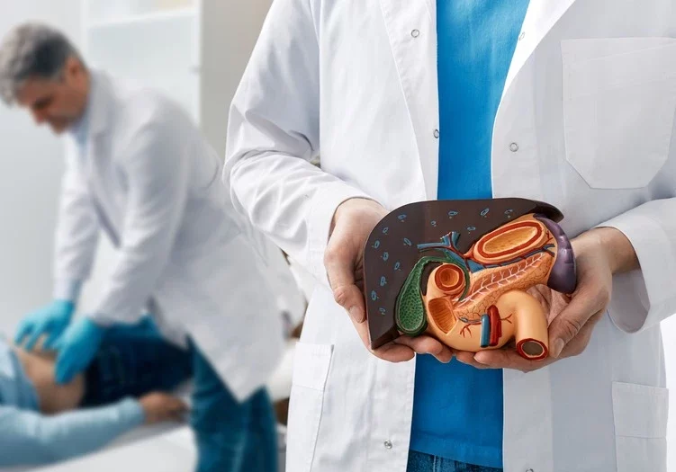 Human liver disease, diagnosis and treatment